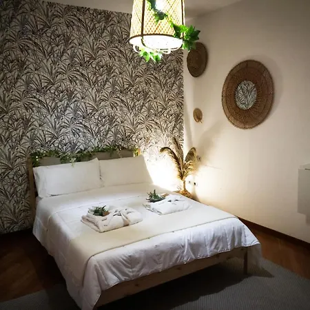 Tropical House60 Pensión Roma