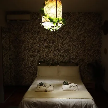 Tropical House60 Affittacamere Roma